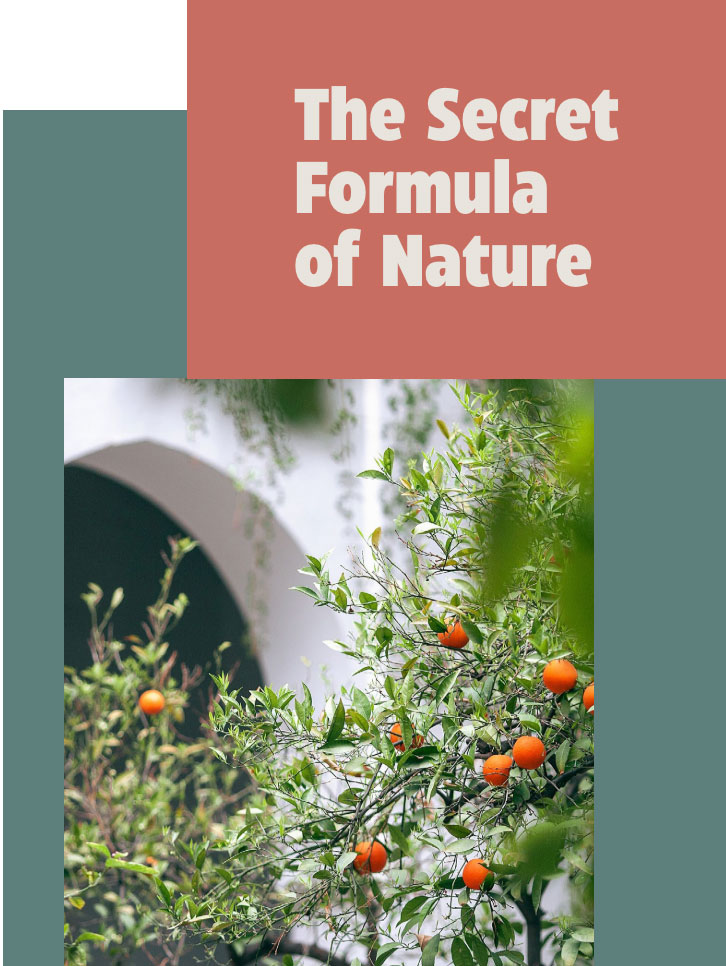 Dispenser Rerum Natura